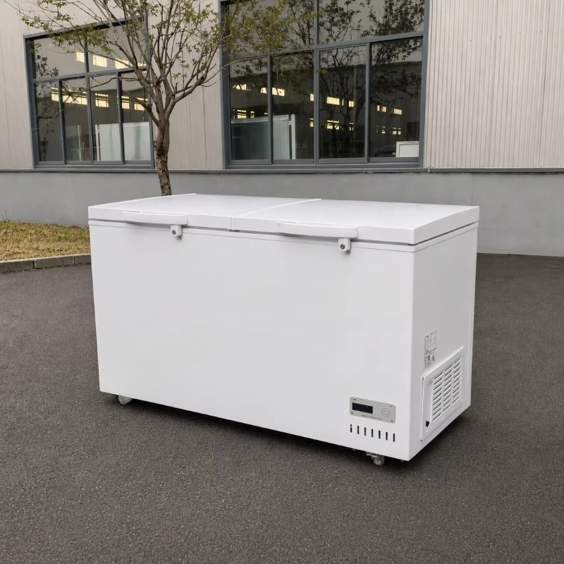 Stainless Steel Material Super - Commercial Chest Freezer 评论和价格
