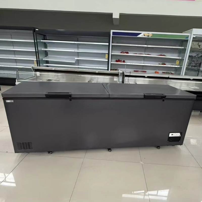 Commercial Double Door Horizon - Commercial Chest Freezer 评论和价格
