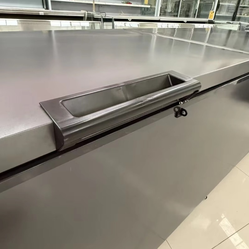 Commercial Double Door Horizon - Commercial Chest Freezer 评论和价格